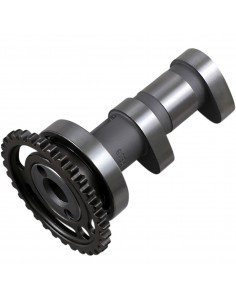 HOT CAMS NOCKENWELLE AUSLASS 2