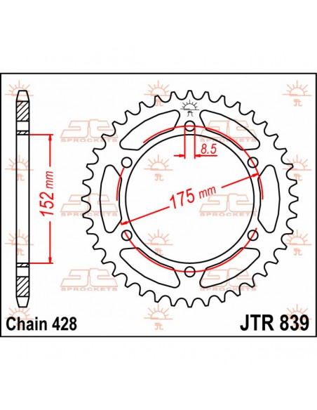 JT SPROCKETS R839.55 HINTERES ERSATZ KETTENRAD 55 ZÄHNE 428 TEILUNG NATURSTAHL Bild 2