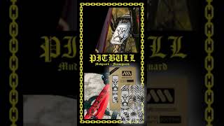 Video: Rahmenschutz Extra Protection Pit Bull